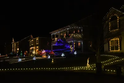 DSC_6726 (Large).JPG